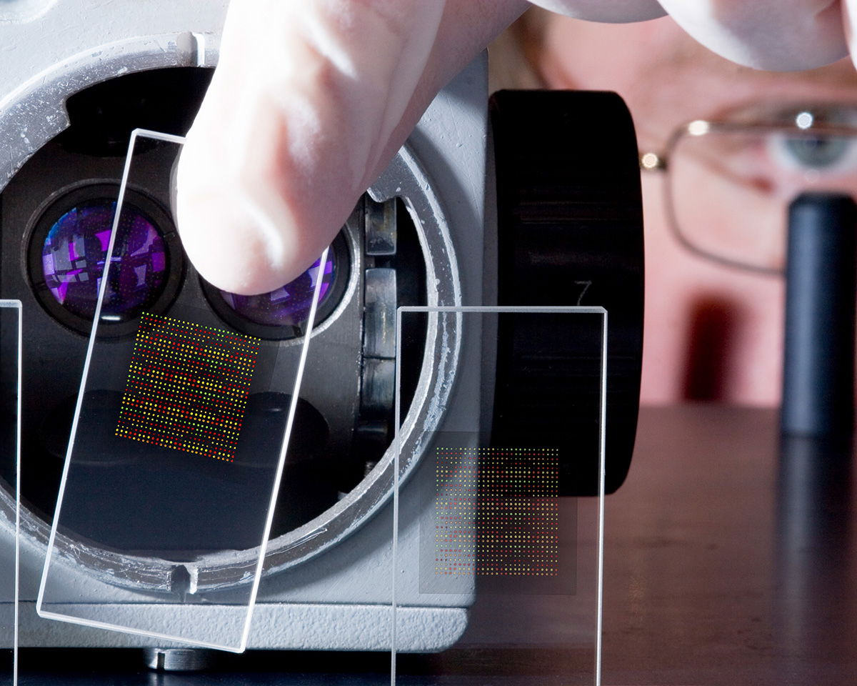 Close-up of a person using gloves handling a glass slide with a small, colorful grid pattern. The slide is being held in front of a scientific instrument with lenses. A person's face, partially shown with glasses, is observing closely.